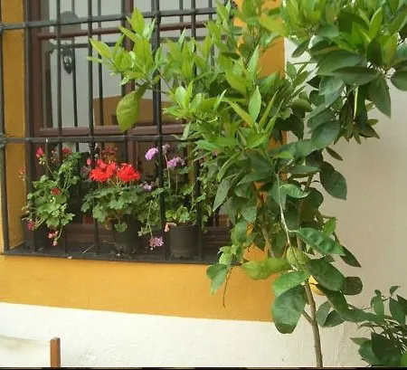 Balcones De 3* Zafra