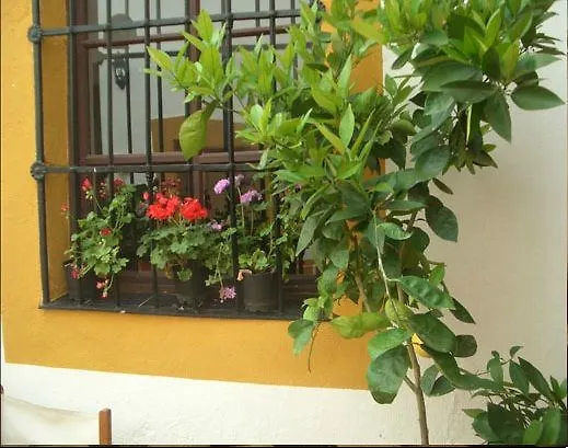 Balcones De 3* Сафра